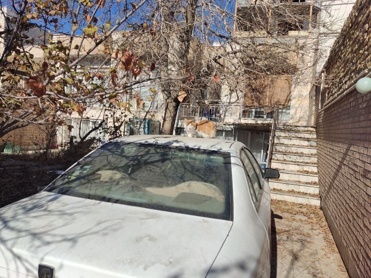 فروش منزل ویلایی قدیمی|فروش خانه و ویلا|تربت‌حیدریه, آبشار|دیوار