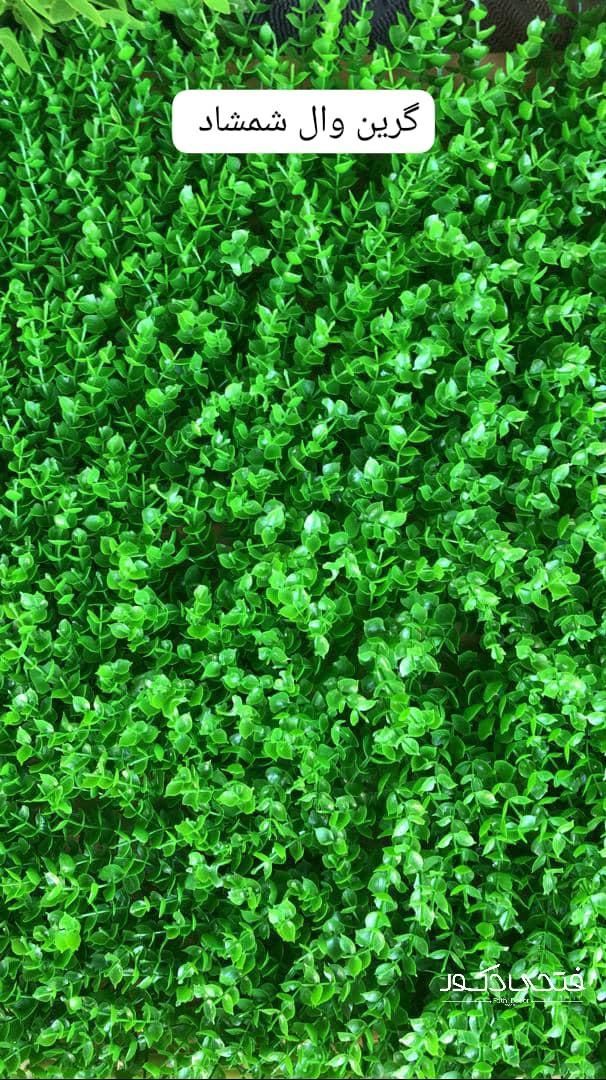پخش گرین وال green wall|گل مصنوعی|اهواز, کیان اباد|دیوار