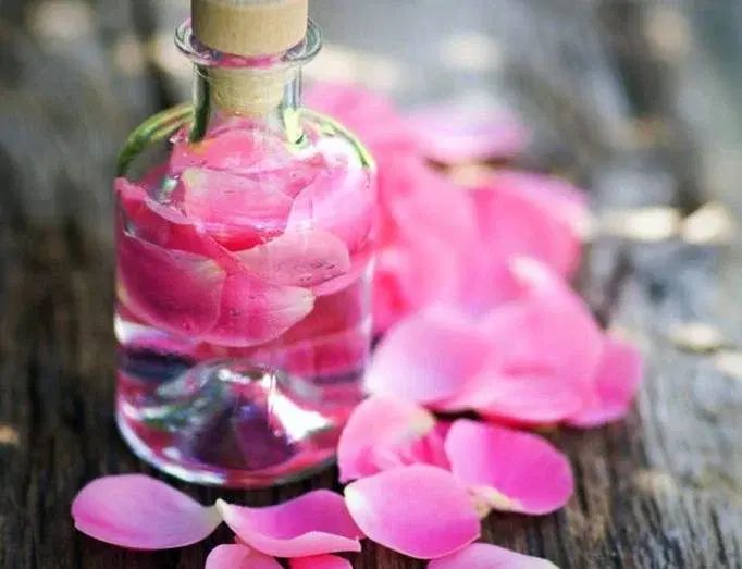گلاب و عرق نعنا درجه یک کاشان|خوردنی و آشامیدنی|تهران, پرستار|دیوار