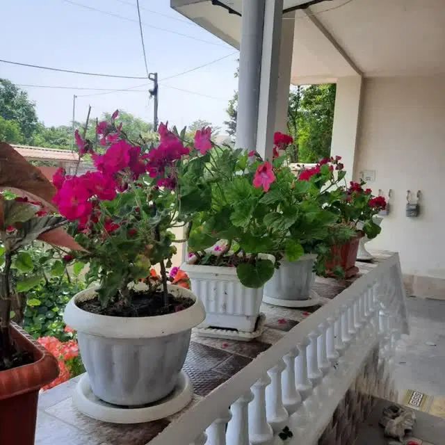 خونه اجاره میخایم خانواده هستیم۵نفریم|اجارهٔ خانه و ویلا|نجف‌آباد, حومه نجف آباد|دیوار