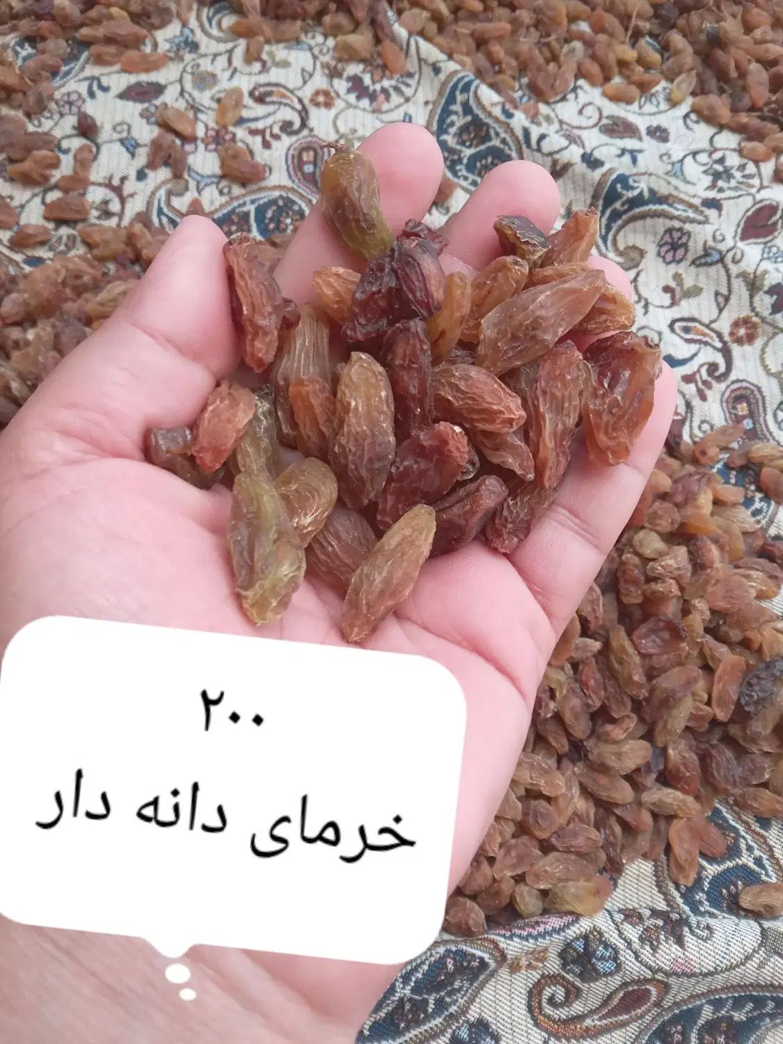 شره انگور  کشمش|خوردنی و آشامیدنی|کرج, شعبان‌آباد|دیوار