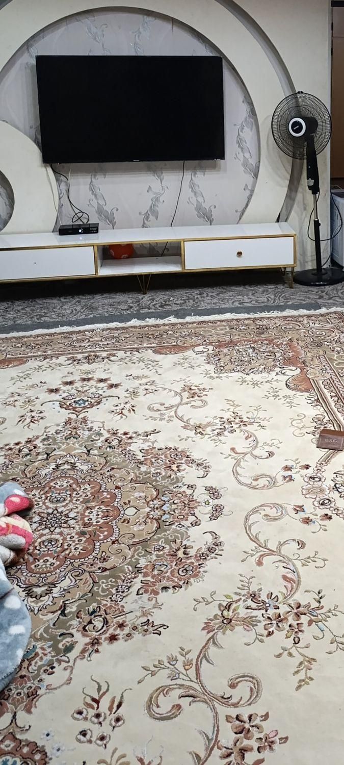 قالی ۱۲متری نو شهر چمران|فرش|چمران, |دیوار