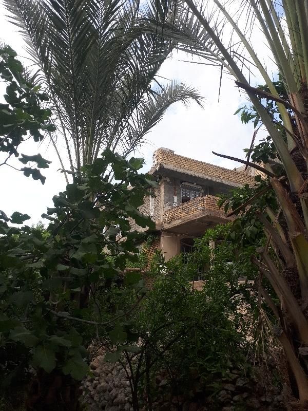 سویت اجاره ای ،ویلا اجاره ای|اجارهٔ کوتاه‌مدت ویلا و باغ|نورآباد ممسنی, |دیوار