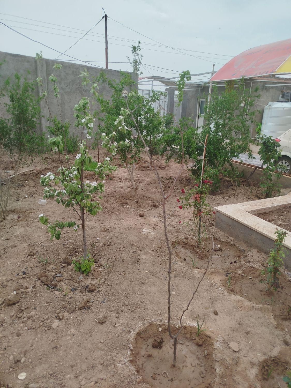 فروش خانه ویلایی در روستای عبدل آباد پایین|فروش خانه و ویلا|قم, قلعه کامکار|دیوار