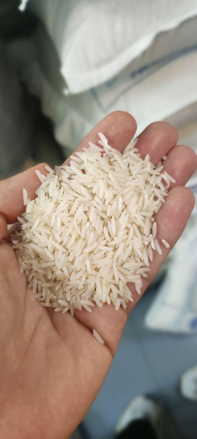 برنج شمال/خوش پخت/|خوردنی و آشامیدنی|اصفهان, مرداویج|دیوار