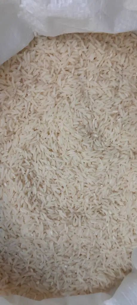 برنج هاشمی محصول امسال|خوردنی و آشامیدنی|رشت, علی آباد|دیوار