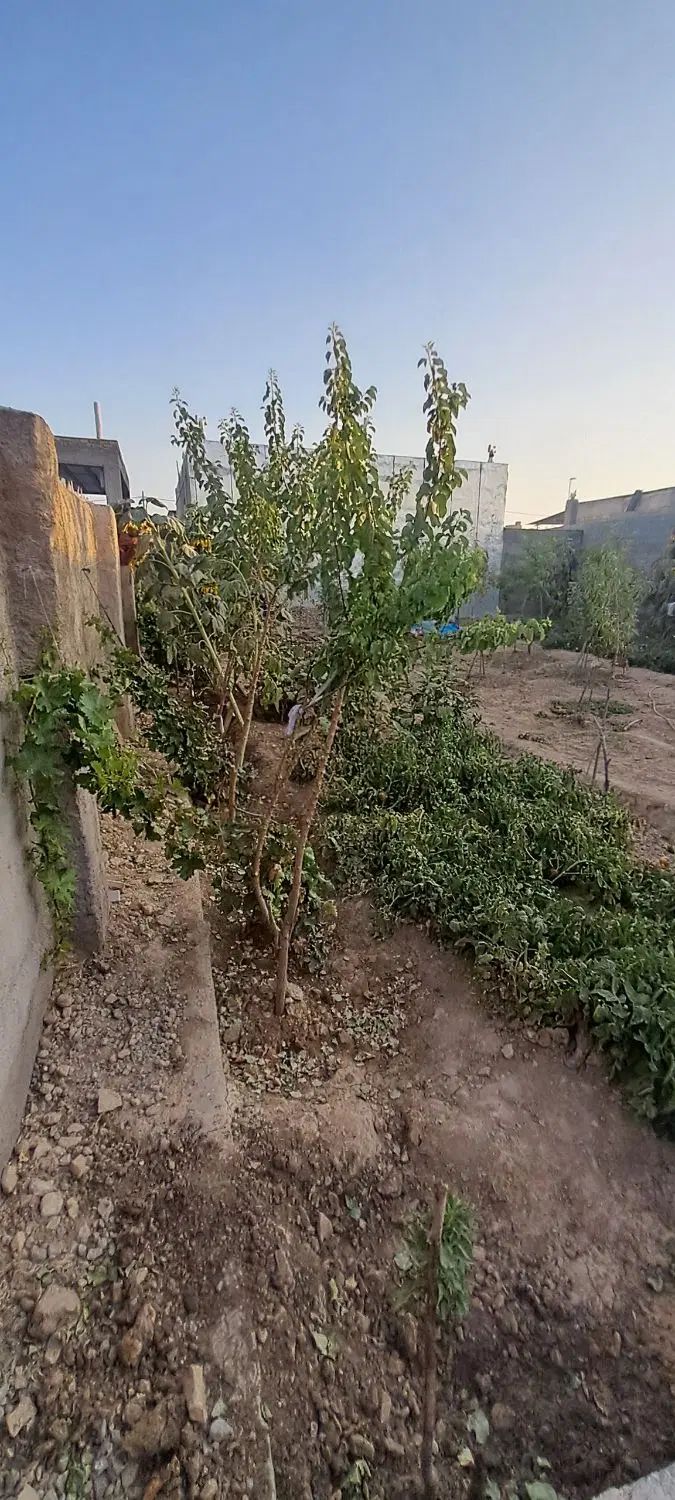 باغ ویلا فروشی زمین ۵۰۰متر زیربنا ۱۲۰متر|فروش خانه و ویلا|شیروان (خراسان), |دیوار