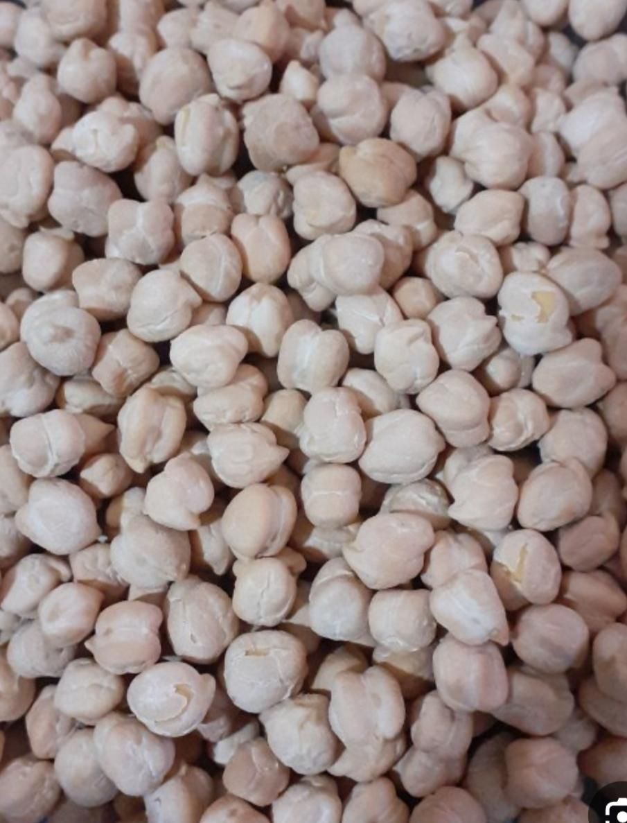 بوجاری و اصلاح بذر|خدمات باغبانی و درختکاری|صحنه, |دیوار