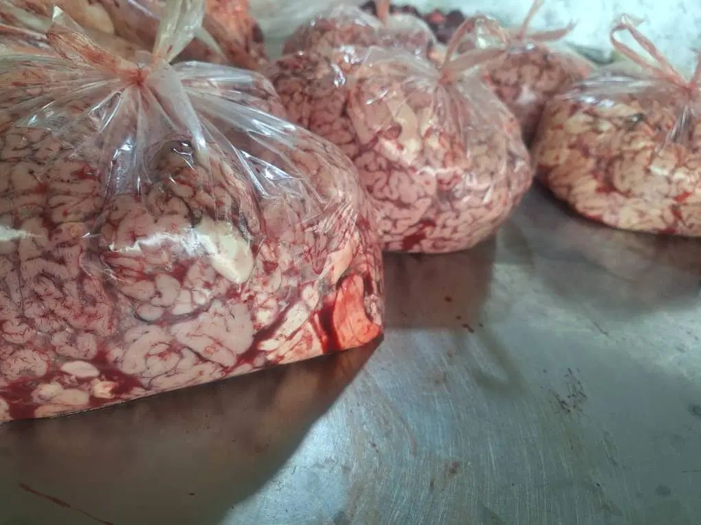 گوشت صورت کله زبان مغز گوساله|خوردنی و آشامیدنی|تهران, نظامی گنجوی (توانیر)|دیوار