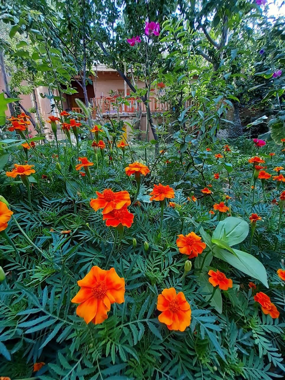 اجاره اقامتگاه سنتی، روستای گردشگری رویین اسفراین|اجارهٔ کوتاه‌مدت آپارتمان و سوئیت|اسفراین, |دیوار