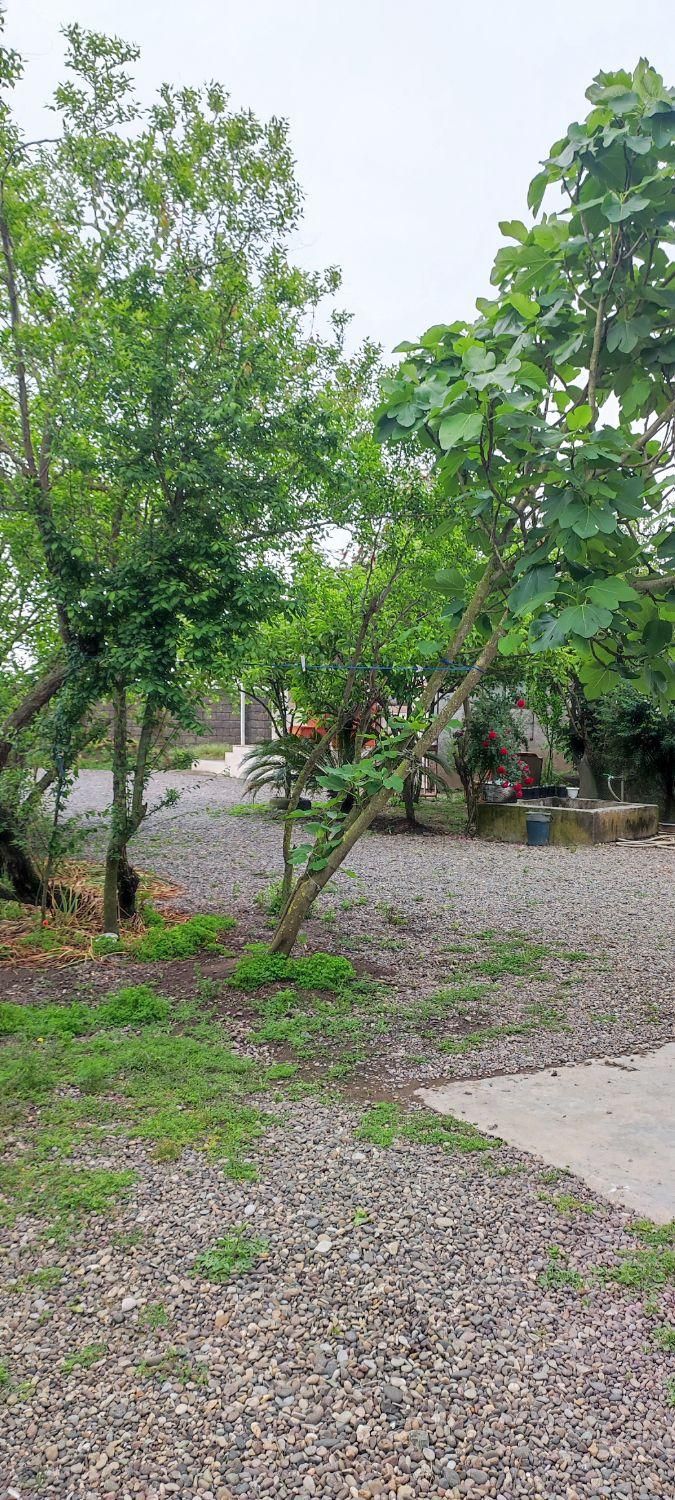 کد۲۰واحد ۲|اجارهٔ کوتاهمدت ویلا و باغ|چاف و چمخاله, |دیوار