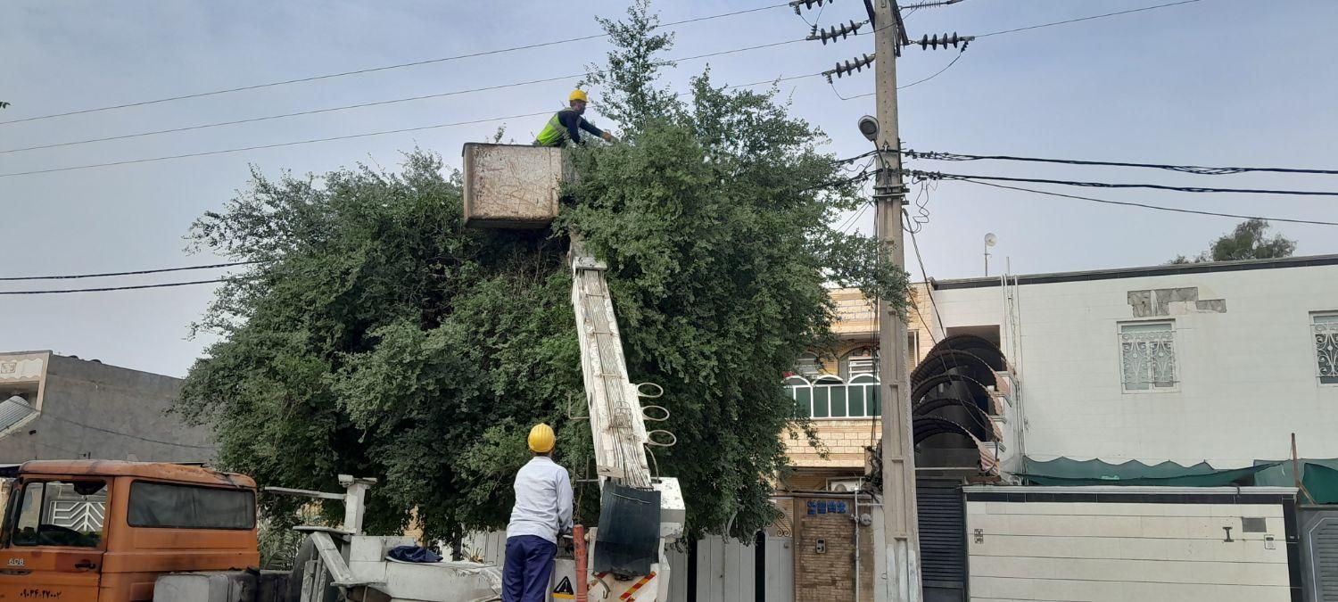برشکاری چوب و هرس کاری باغبانی خرید چوب تناچ بالا|خدمات باغبانی و درختکاری|اهواز, گلستان|دیوار