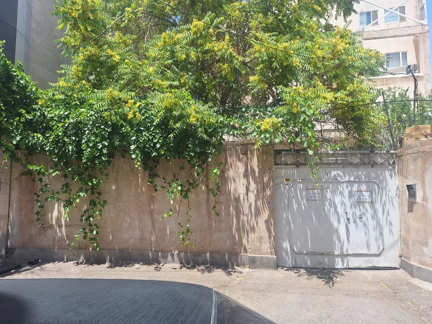 دربست ویلایی کاشفی شمالی ده ۵۰ متر پایینترازمبینی|اجارهٔ خانه و ویلا|سبزوار, ابوریحان|دیوار