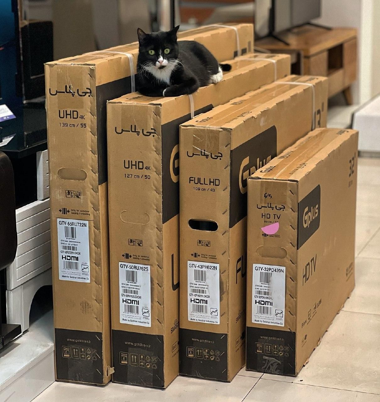 خریدار انواع تلویزیون نو آکبند پلپ کل کرج|تلویزیون و پروژکتور|کرج, گوهردشت|دیوار