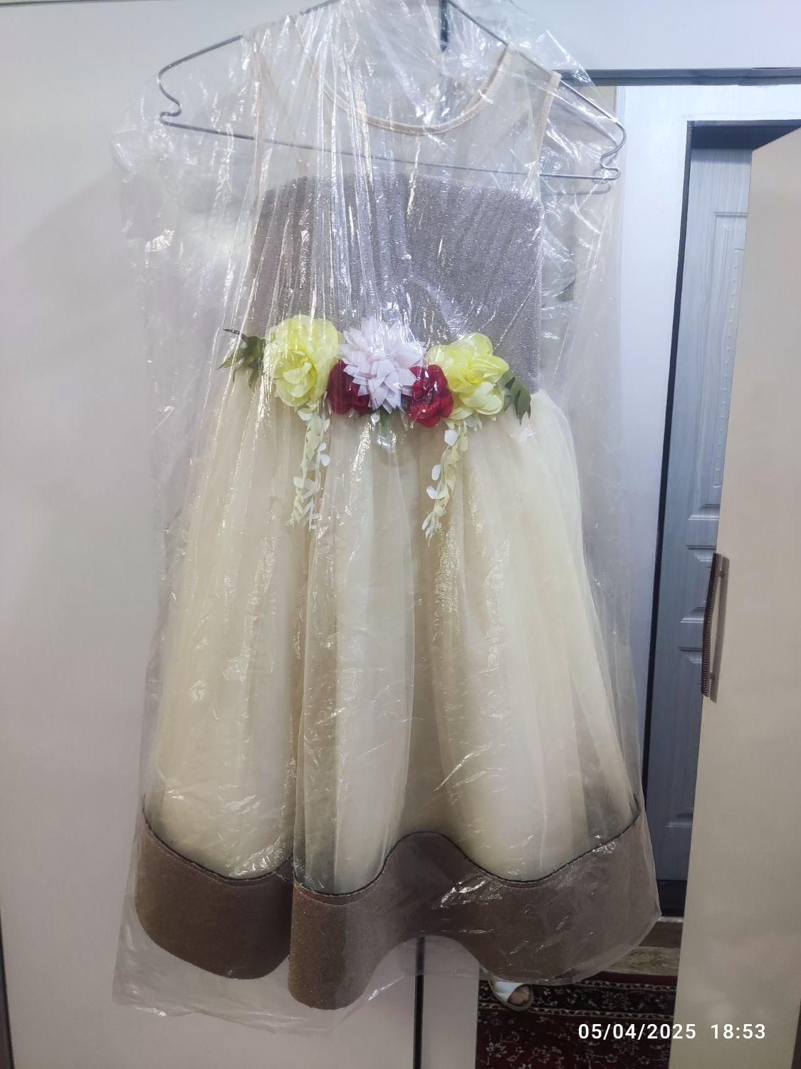 لباس مجلسی دخترانه|لباس|مراغه, |دیوار