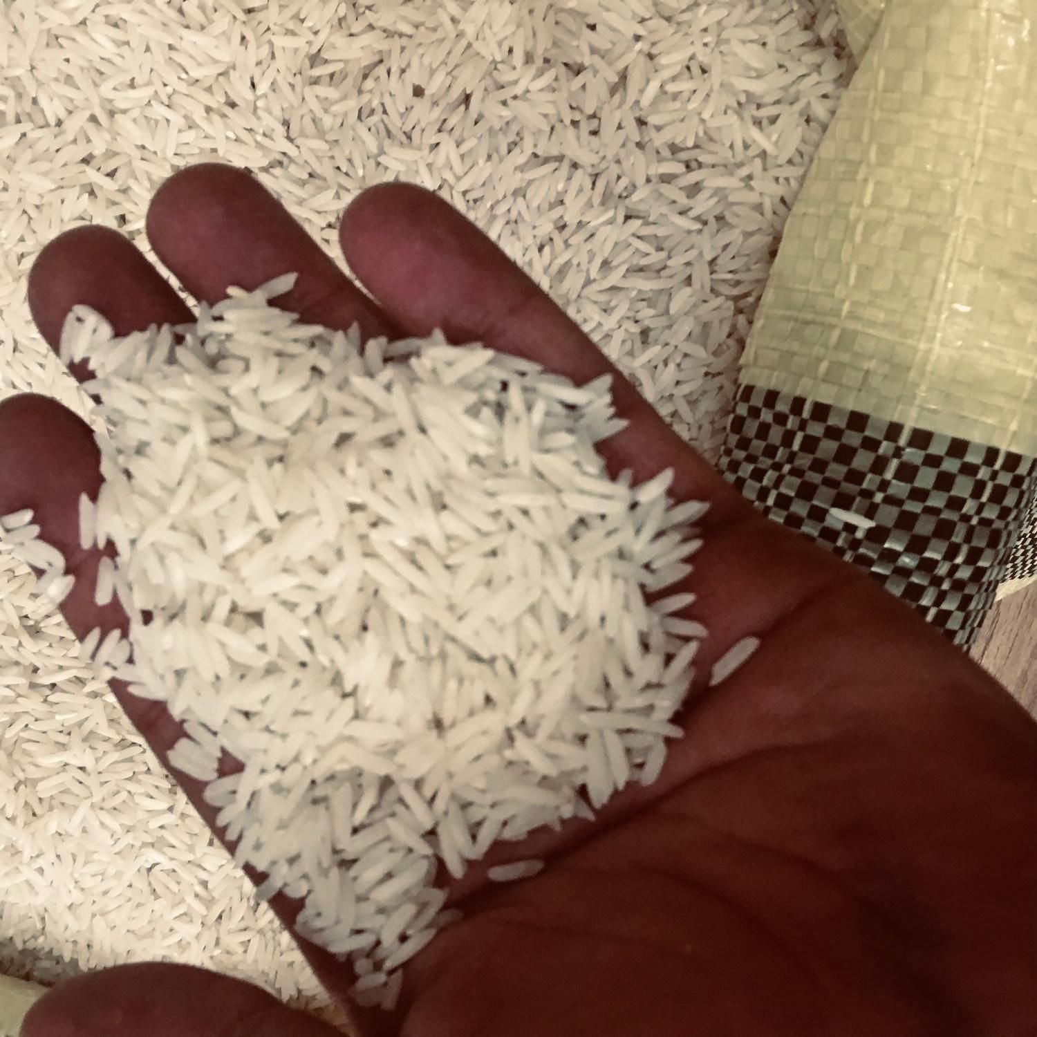 هاشمی درجه یک|خوردنی و آشامیدنی|رشت, استقامت 1|دیوار