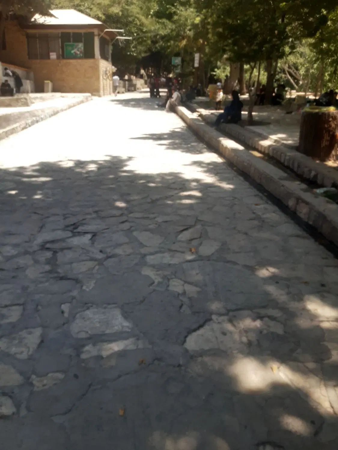 طعبیت گردی|تور و چارتر|کرج, باغستان|دیوار