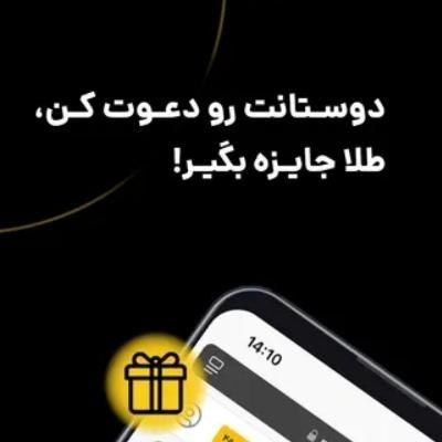 نصب برنامه طلاین و ۷ سوت طلا|کارت هدیه و تخفیف|تهران, تهران‌ویلا|دیوار