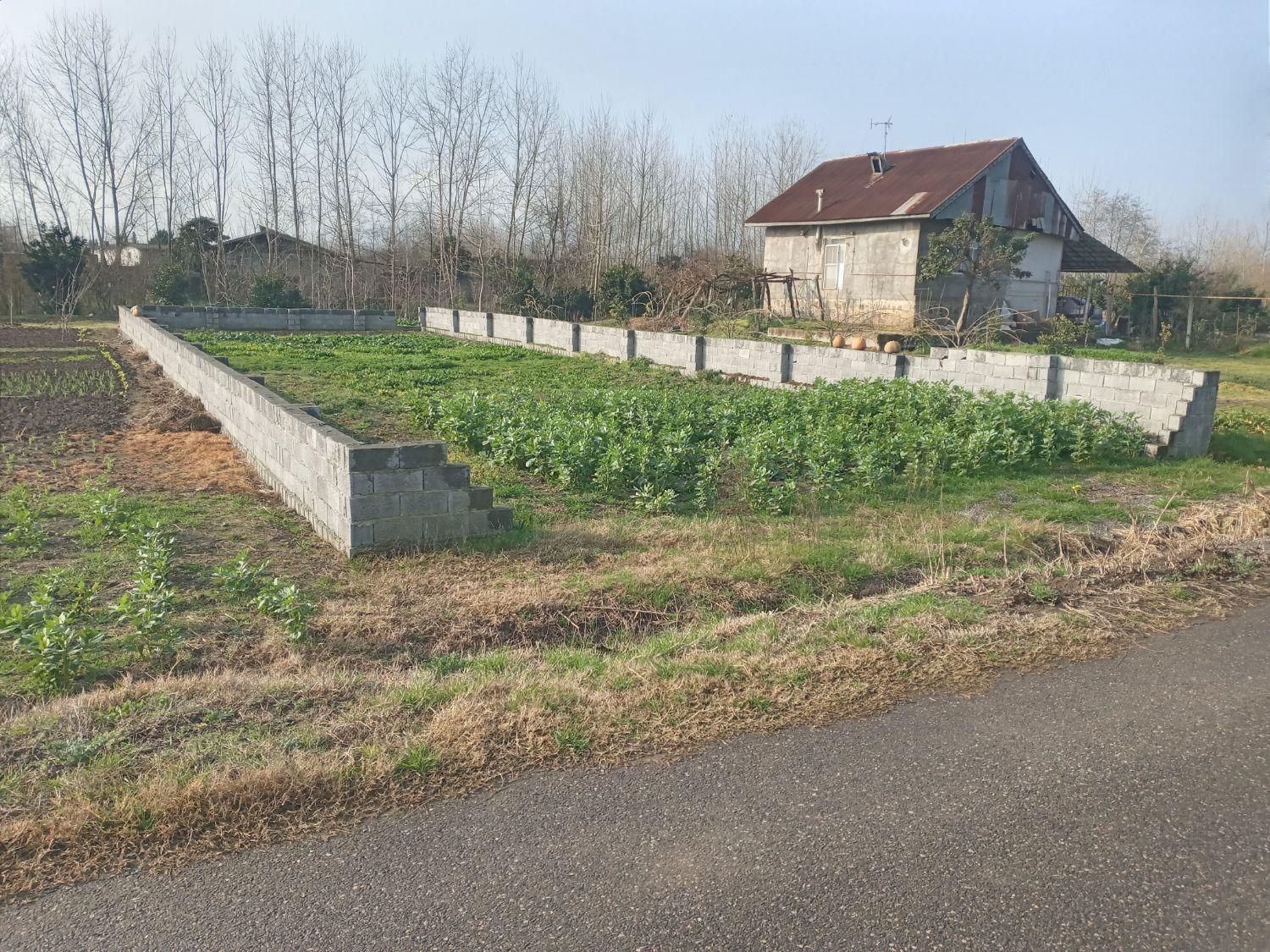 فروش زمین ۴۴۸ متری|فروش زمین و ملک کلنگی|چاف و چمخاله, |دیوار