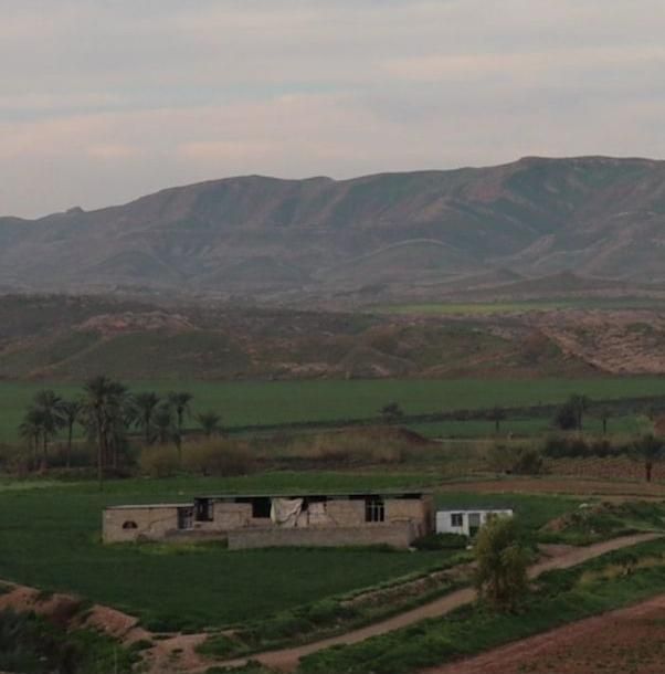 یک باب دامپروری صنعتی در قصرشیرین|فروش زمین و ملک کلنگی|سرپل ذهاب, |دیوار