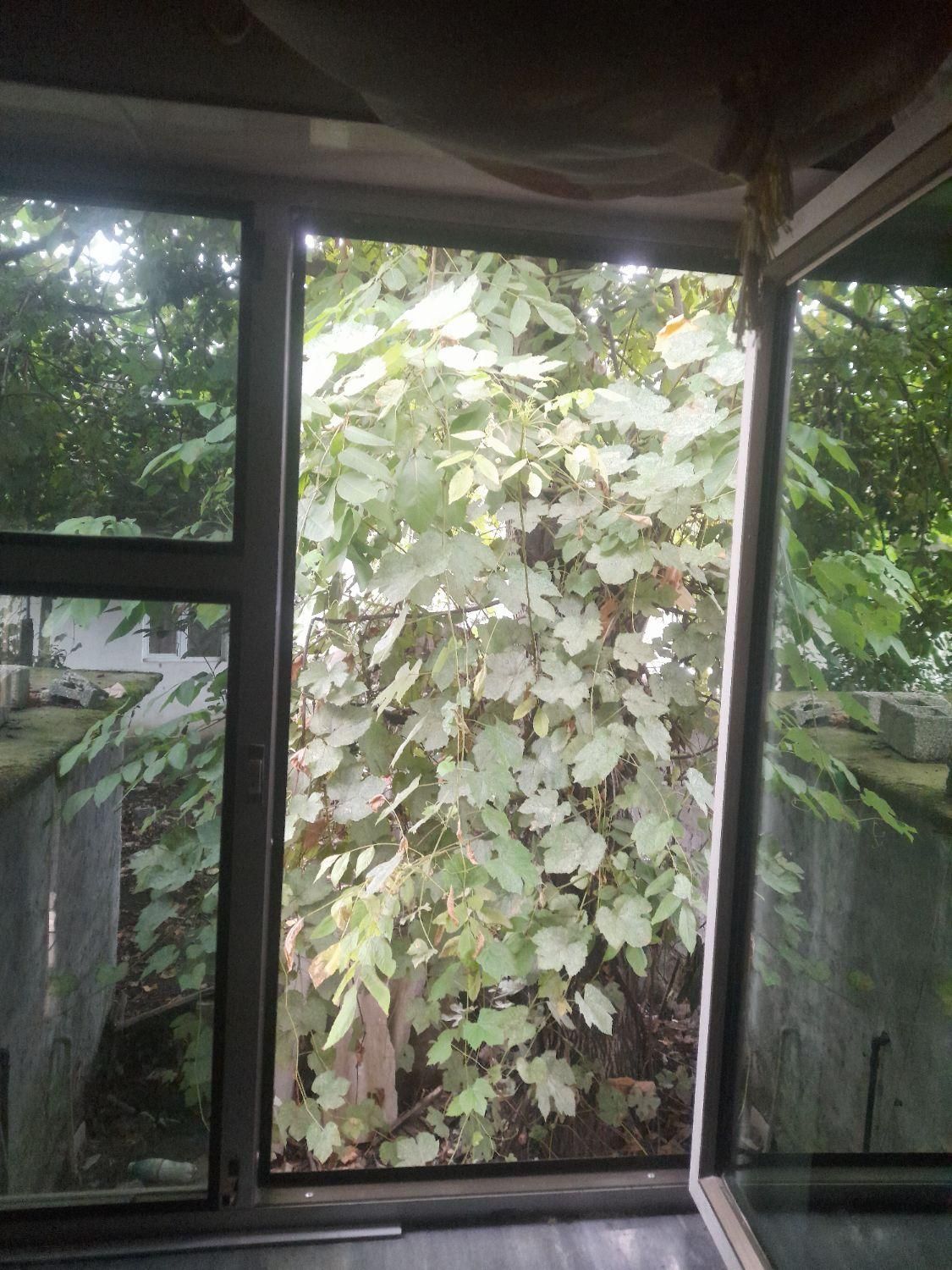 اجاره روزانه/هفتگی/ماهانه ویلا سوییت ۱۳۰متری دربست|اجارهٔ کوتاهمدت ویلا و باغ|چوبر, |دیوار