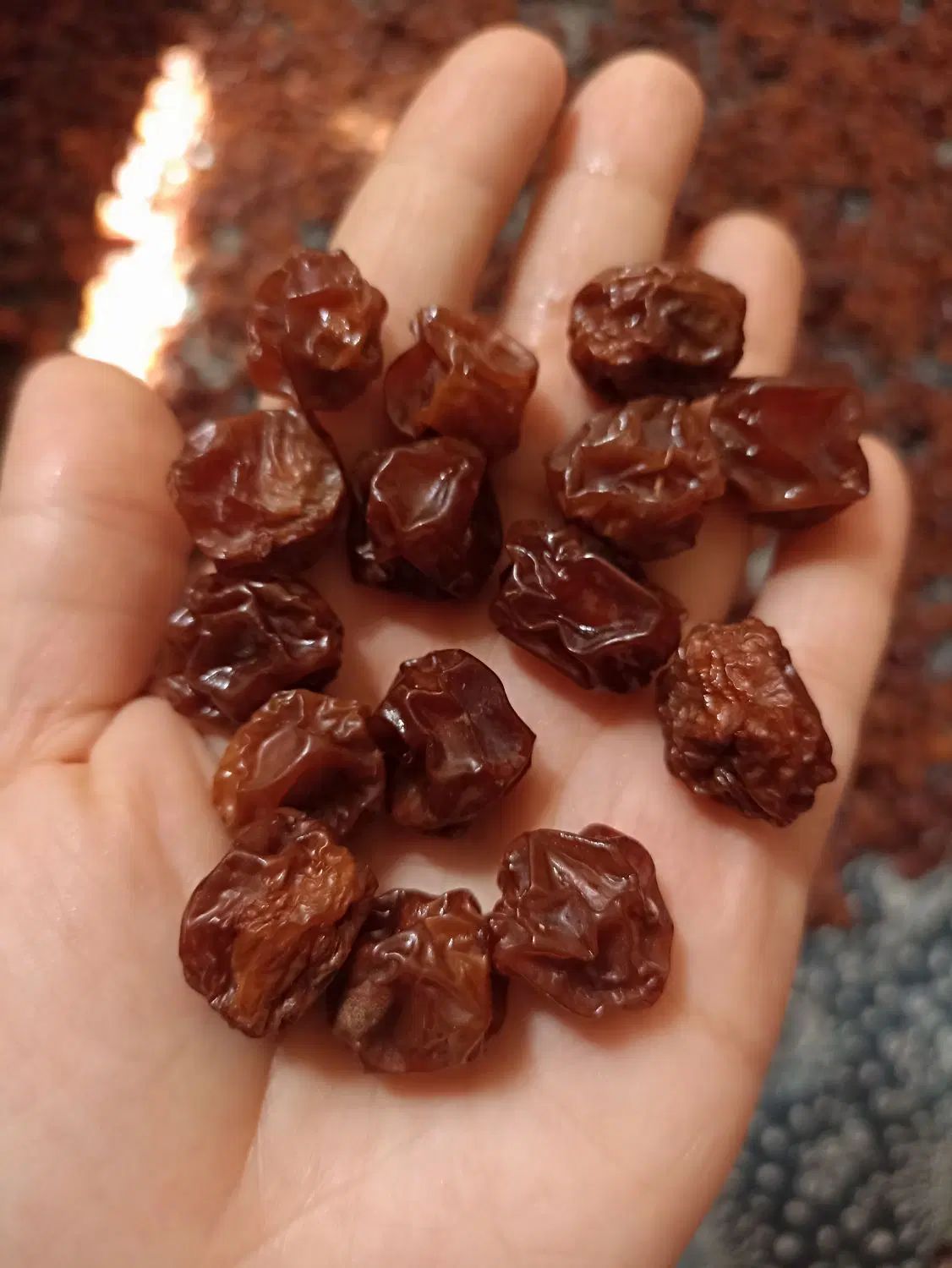 آلوچه|خوردنی و آشامیدنی|مشهد, شهرک امام هادی (شهرک غرب)|دیوار