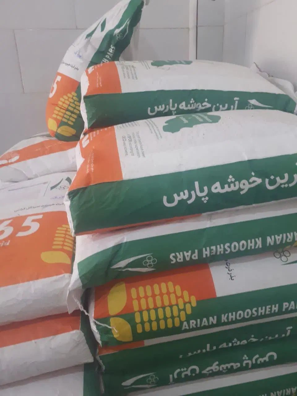 زودرس ترین بذر ذرت خوزستان باقیمت استثنایی|خدمات باغبانی و درختکاری|دزفول, |دیوار