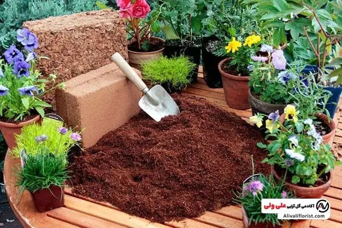 خدمات باغبانی گلکاری باغچه کاری تعویض خاک گلدون|خدمات باغبانی و درختکاری|تهران, جنت‌آباد شمالی|دیوار