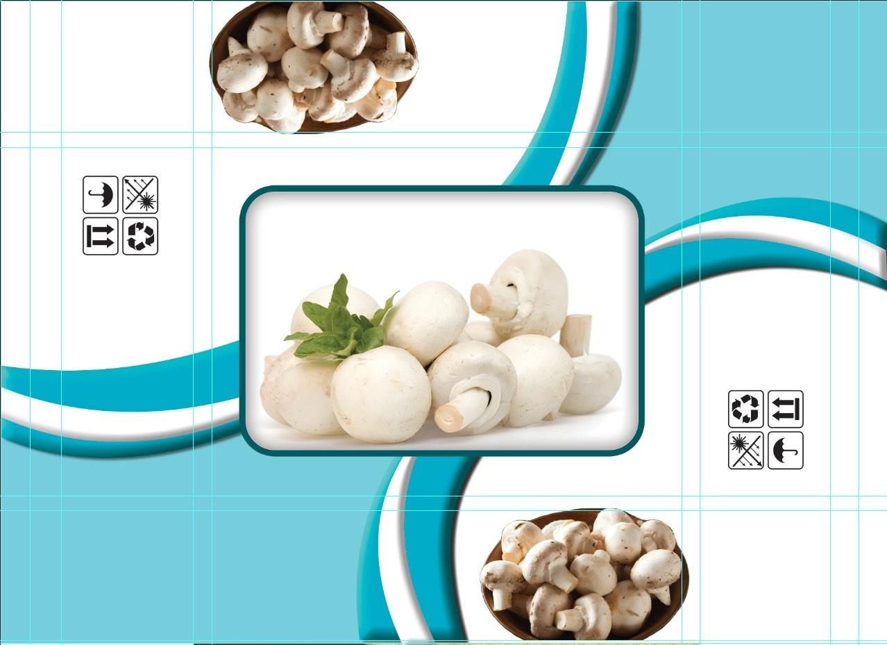 نیرو قارچ چین خانم|استخدام صنعتی، فنی، مهندسی|مرودشت, نقش رستم|دیوار