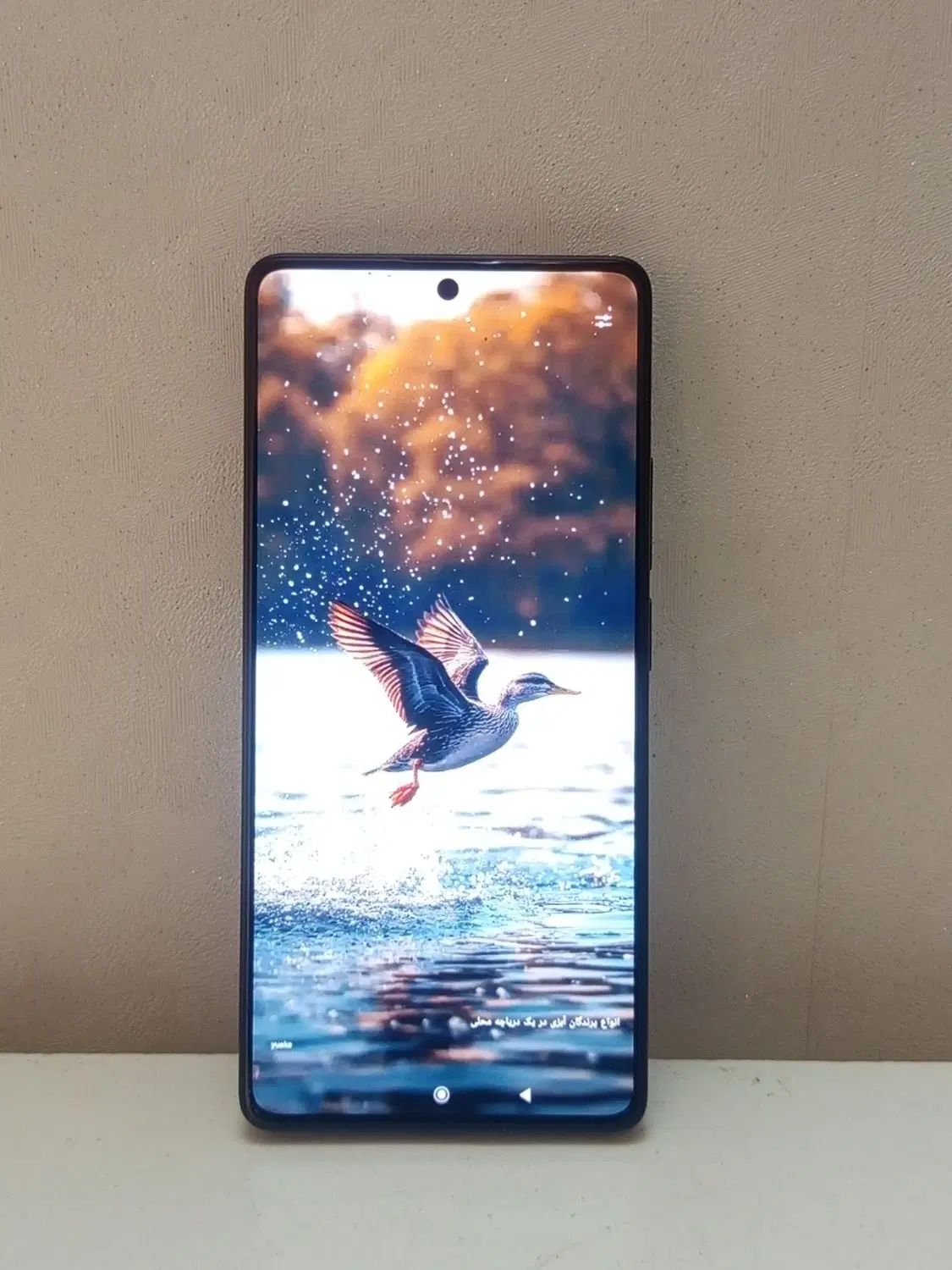 Redmi Note 13 Pro تمیز و با گارانتی|موبایل|مشهد, هفده شهریور|دیوار