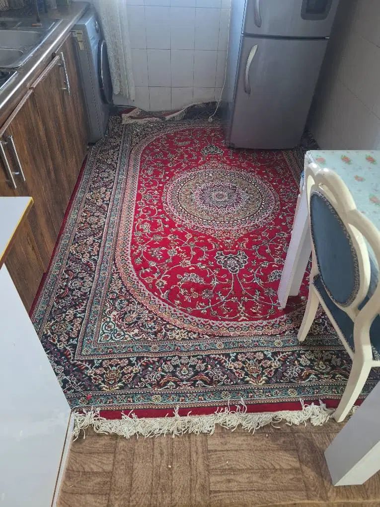 دو عدد فرش ۶ متری|فرش|رشت, پل تالشان|دیوار