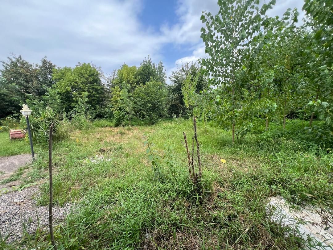 اجاره کلبه سوییسی استخردار جنگلی اب گرم|اجارهٔ کوتاهمدت ویلا و باغ|رشت, استادسرا|دیوار