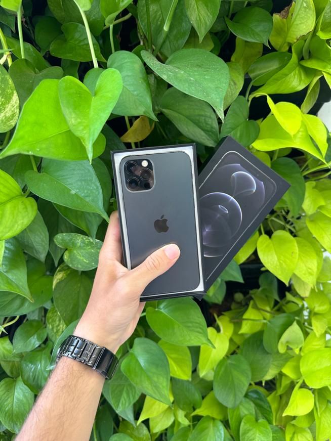 اپل iPhone 12 Pro ، فوق العاده تمیز و به صرفه|موبایل|نجف‌آباد, بازار|دیوار