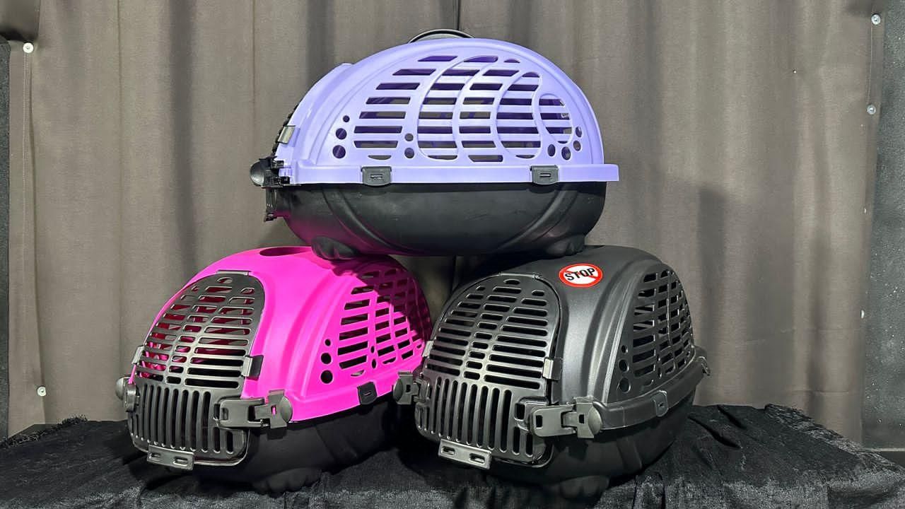 باکس حمل حیوانات سگ و گربه|لوازم جانبی حیوانات|تهران, جوادیه|دیوار