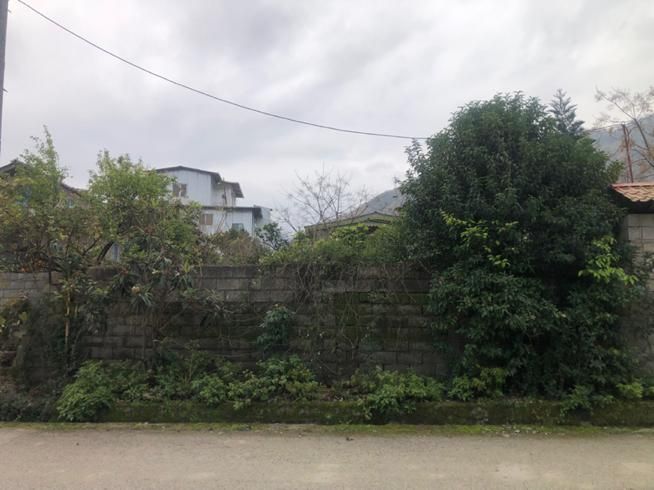 باغ ۱۰۵۰ متری باویلای دو طبقه با دید کوه و دریا|فروش خانه و ویلا|رامسر, |دیوار