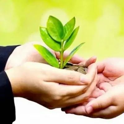 مشاوره خانواده و ازدواج|فعالیت داوطلبانه|مشهد, خین عرب|دیوار