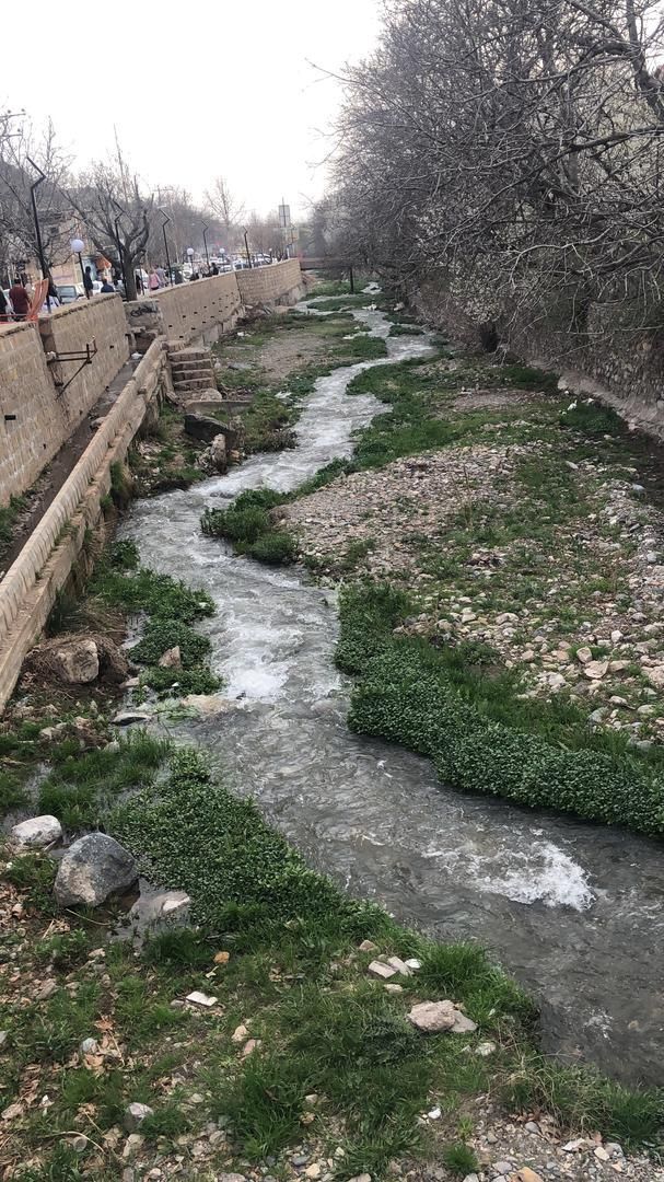 بوژان سوئیت آپارتمان تک خوابه ۷۰ متری|اجارهٔ کوتاه‌مدت آپارتمان و سوئیت|نیشابور, فضل|دیوار