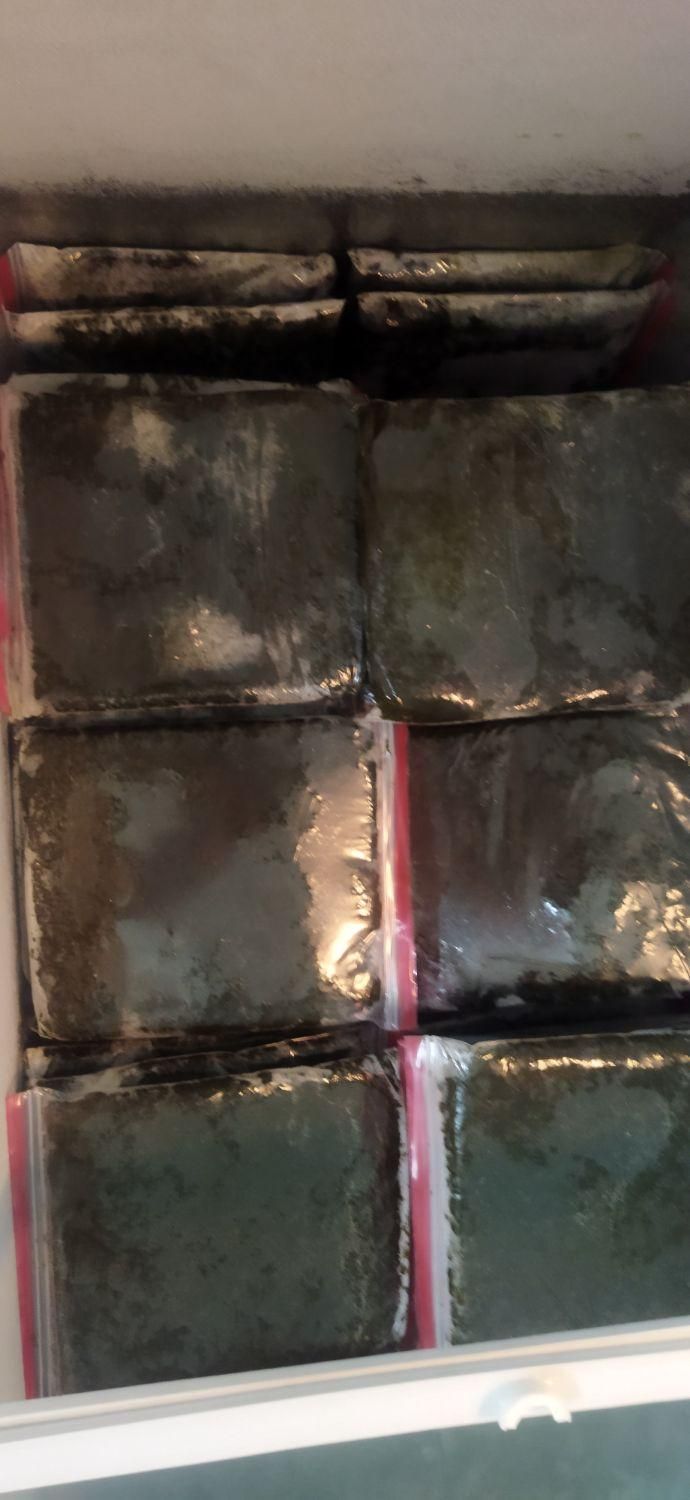 سبزی خورشتی خوزستان رامهرمز|خوردنی و آشامیدنی|فولادشهر, B2|دیوار