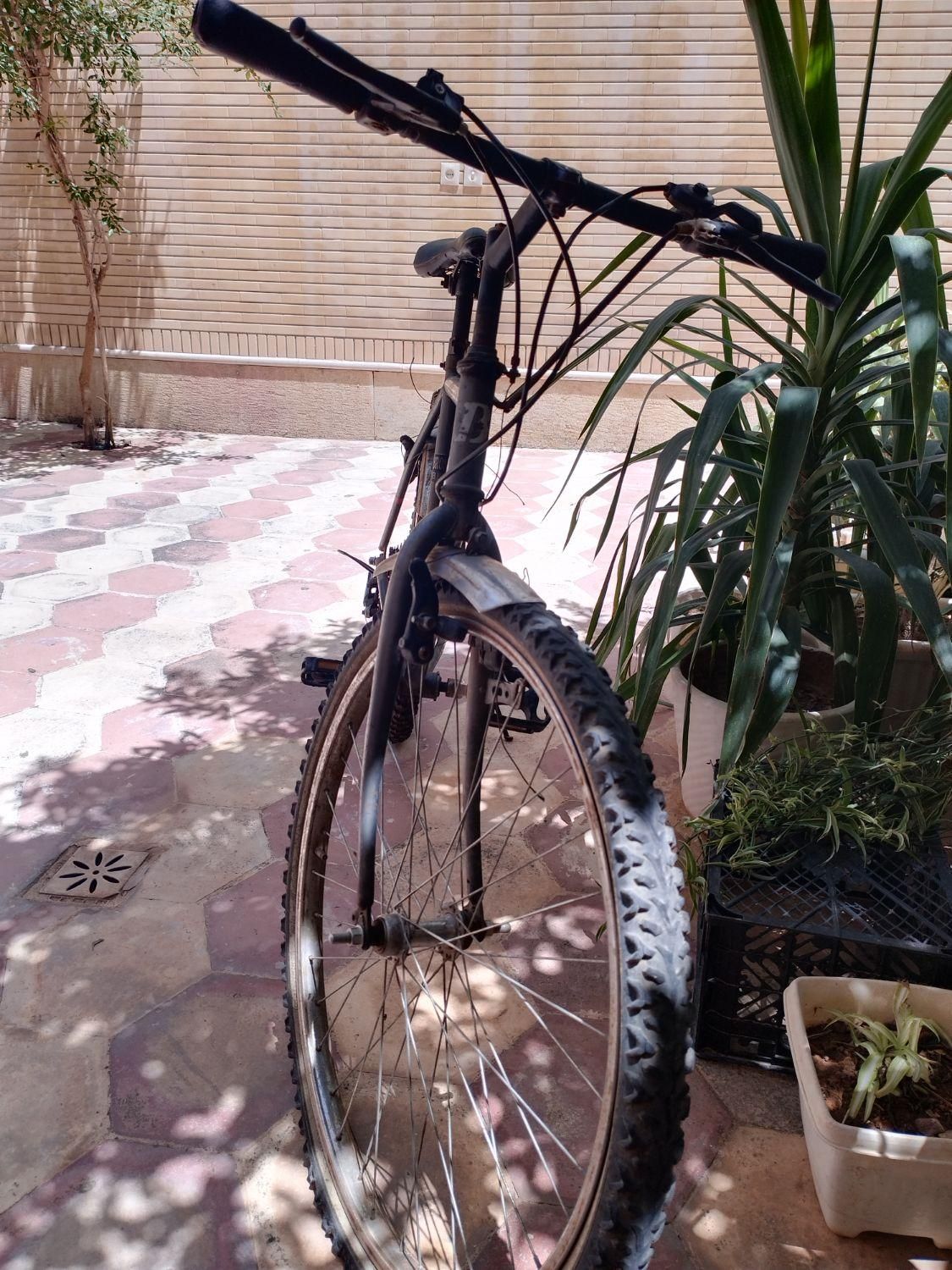 دوچرخه کوهستان ۲۶|دوچرخه، اسکیت، اسکوتر|شیراز, پارک آزادی|دیوار