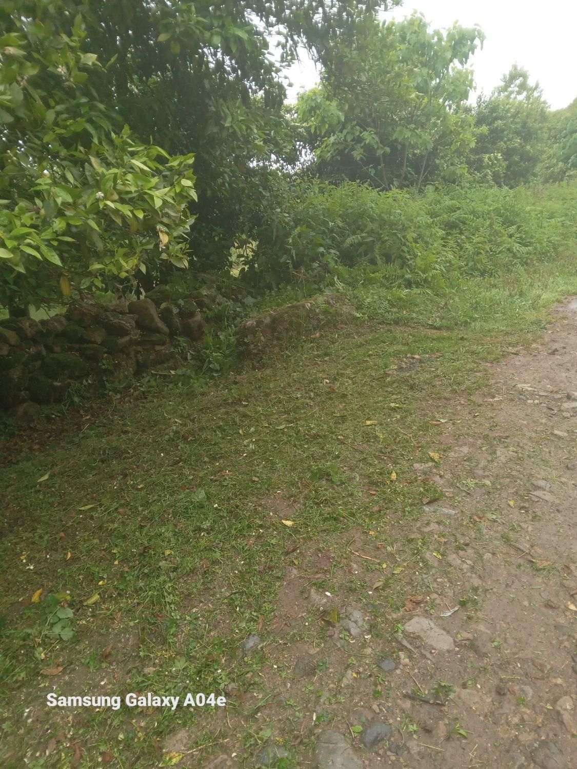 علف تراشی و سم پاشی باغ بادستگاه علف تراش وسم پاش|خدمات باغبانی و درختکاری|کلاچای, |دیوار