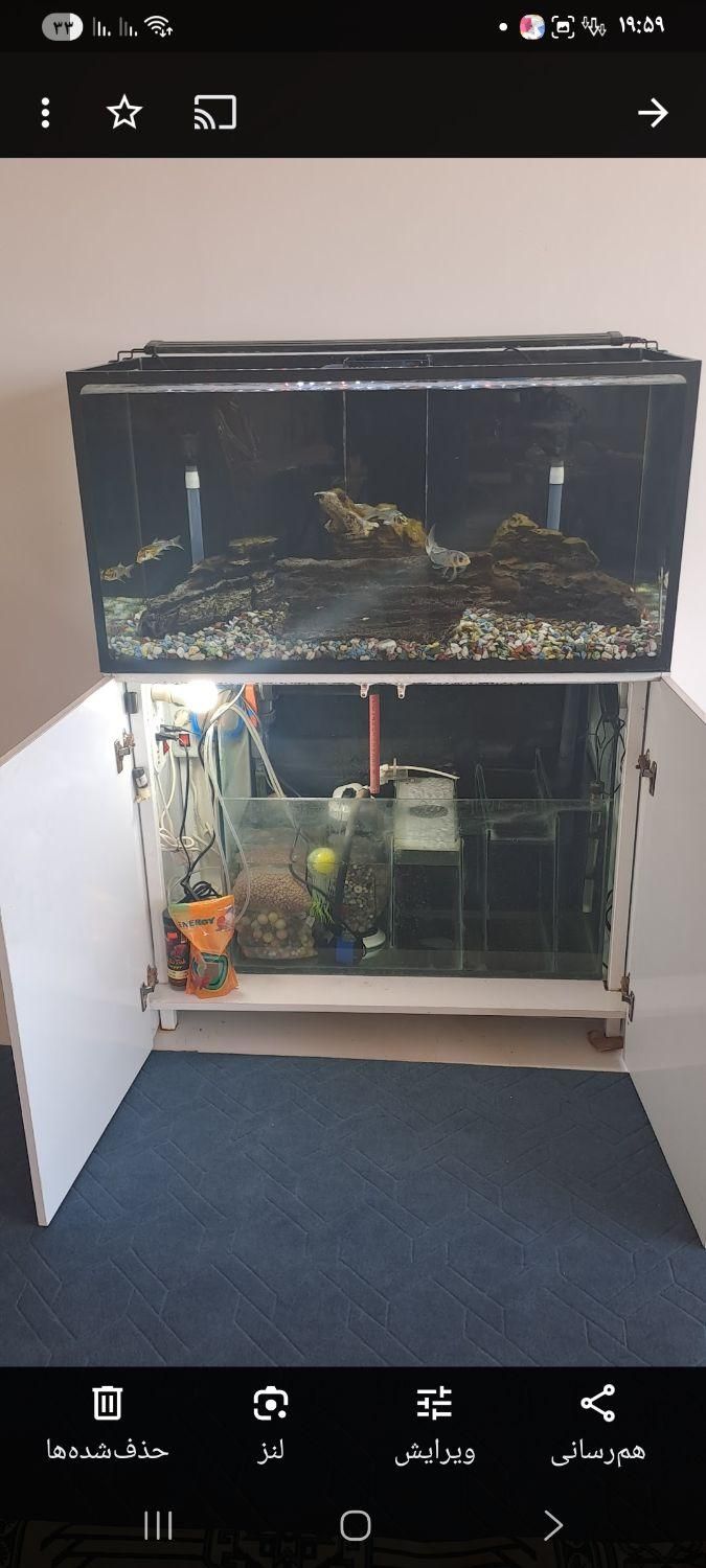 آکواریوم حرفه ای با رآکتور تصفیه آب|ماهی|زرندیه, |دیوار