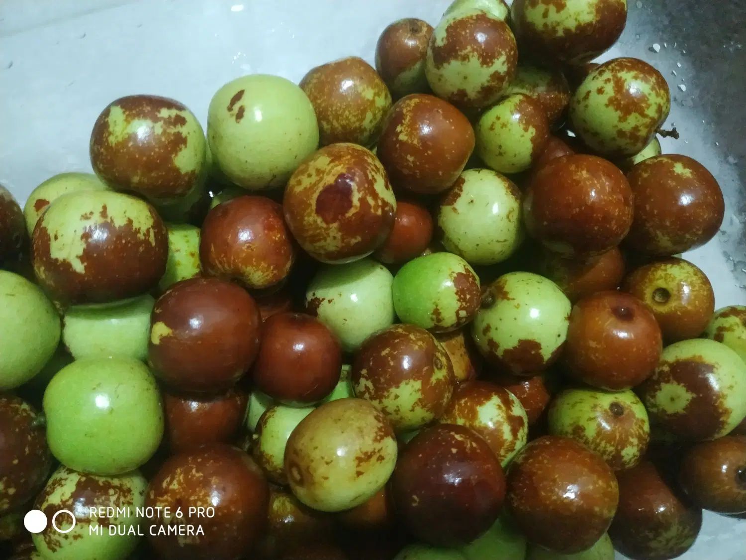 عناب مرجغل ۲۲۰ برنج هاشمی ۲۸۰ خروس محلی۶۵۰|خوردنی و آشامیدنی|رشت, حمیدیان|دیوار