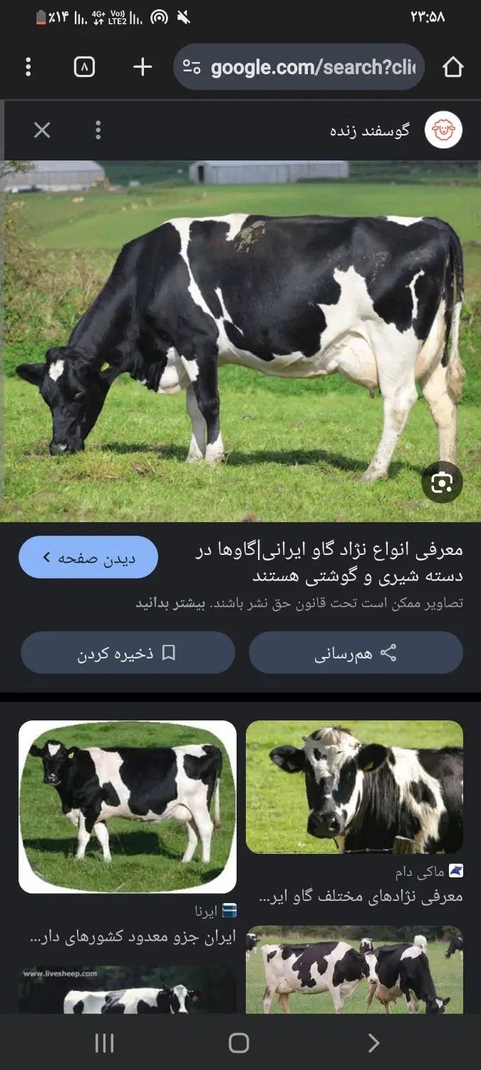 null