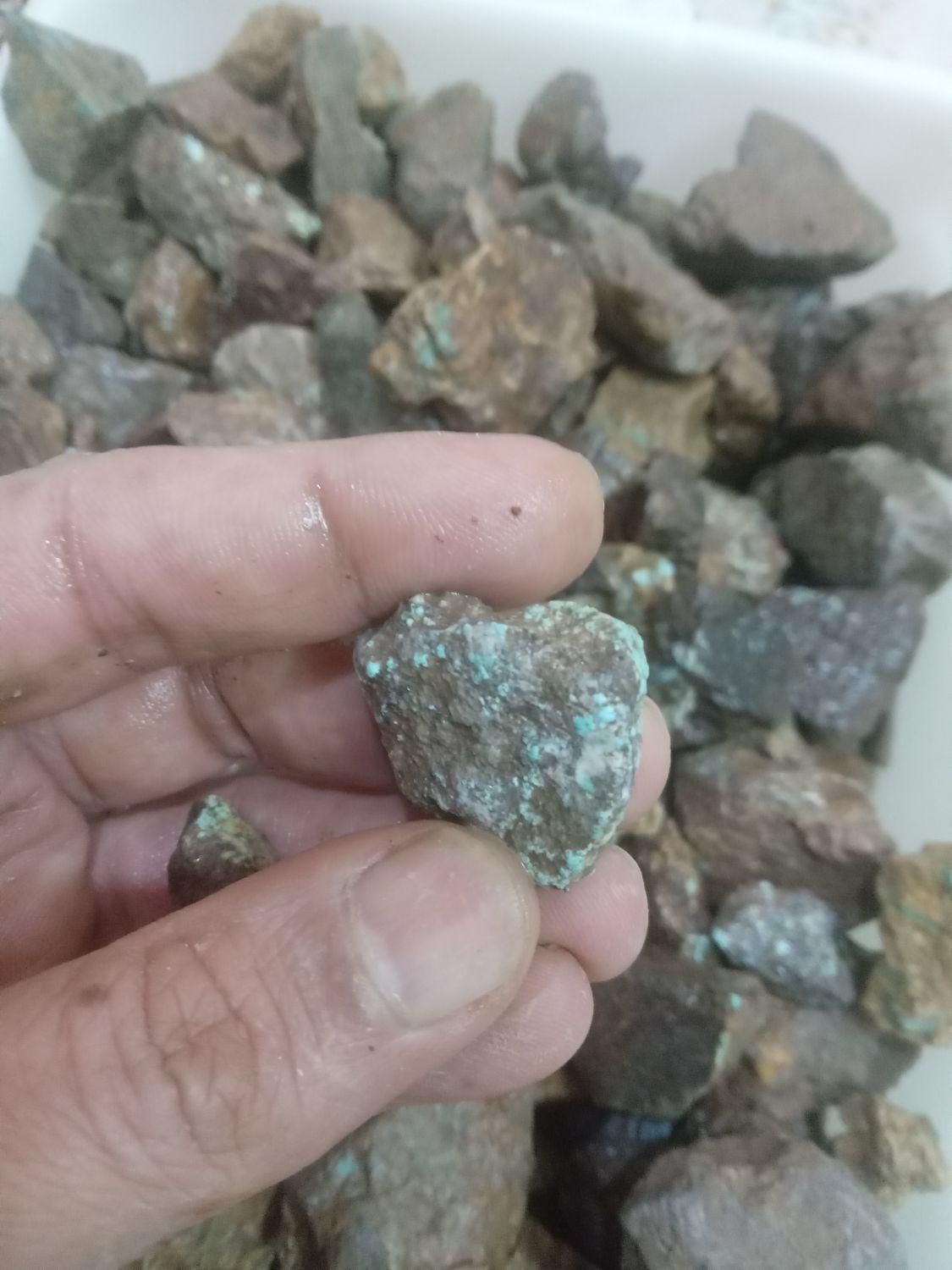 سنگ خام فیروزه نیشابور|جواهرات|قم, بنیاد|دیوار