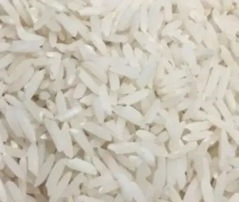 برنج هاشمی درجه یک محصول امسال|خوردنی و آشامیدنی|رشت, دباغیان|دیوار