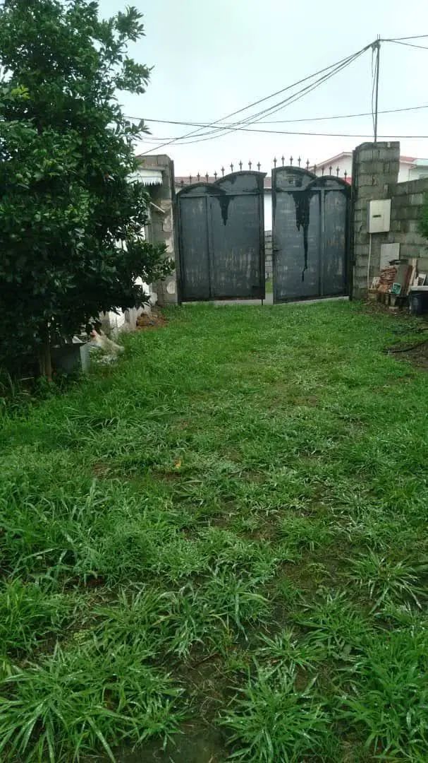فروش زمین مسکونی با جواز ساخت در روستای رضا محله|فروش زمین و ملک کلنگی|کلاچای, |دیوار