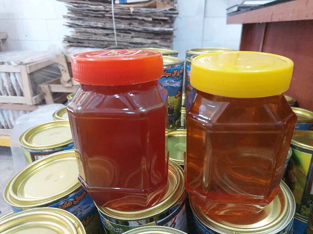 عسل/ارگانیک/اصل/اردبیل/با خلوص ۸۵ درصد|خوردنی و آشامیدنی|تهران, شهرک دانشگاه|دیوار