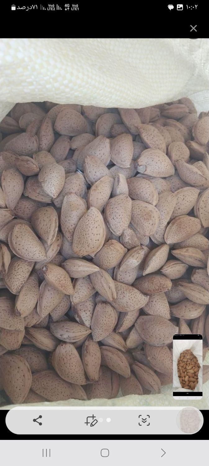 بادام درشت|خوردنی و آشامیدنی|تهران, زنجان|دیوار