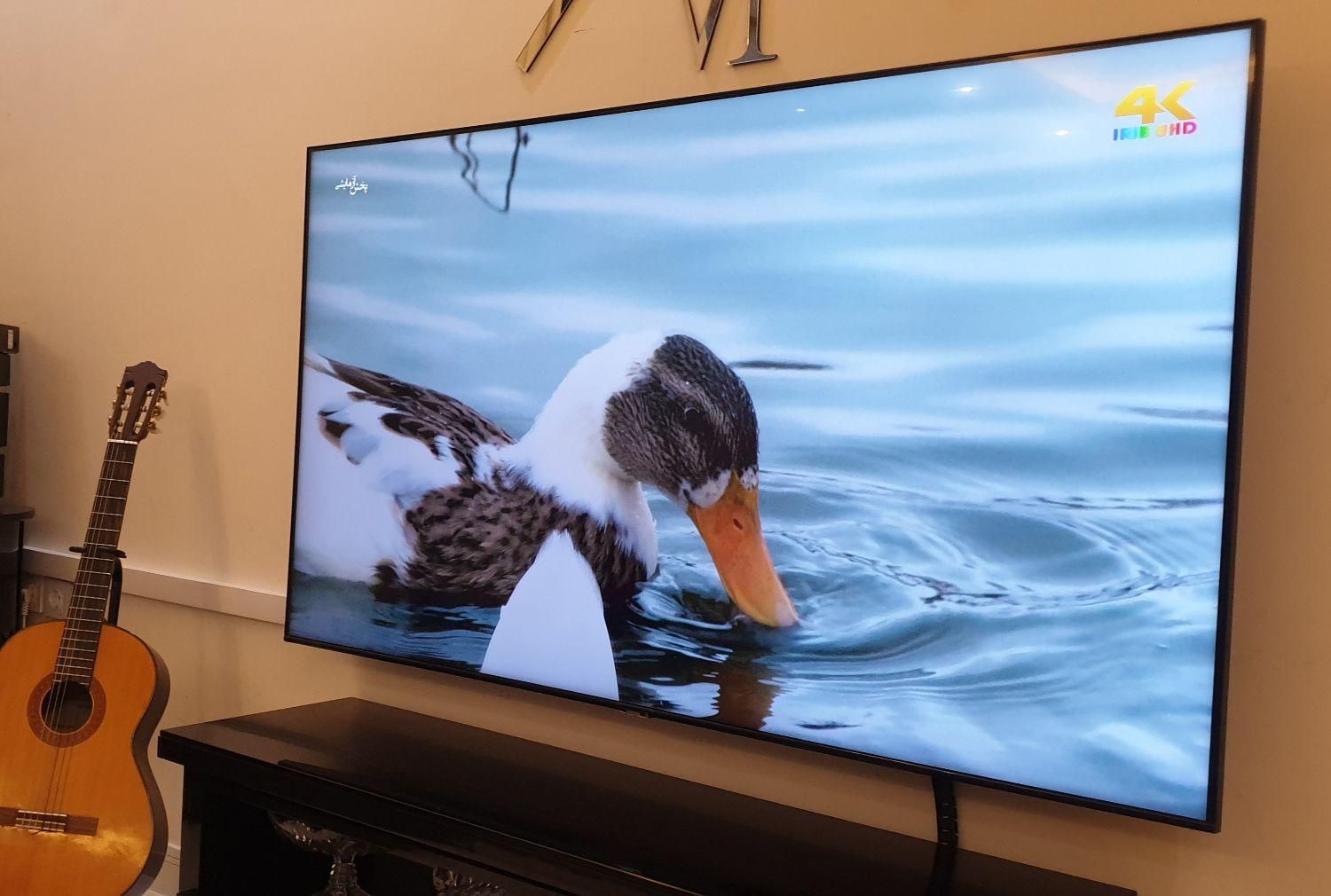 نصب وتنظیم آنتن وتلویزیون ماهواره دار نصاب پایهtv|خدمات پیشه و مهارت|مشهد, احمدآباد|دیوار