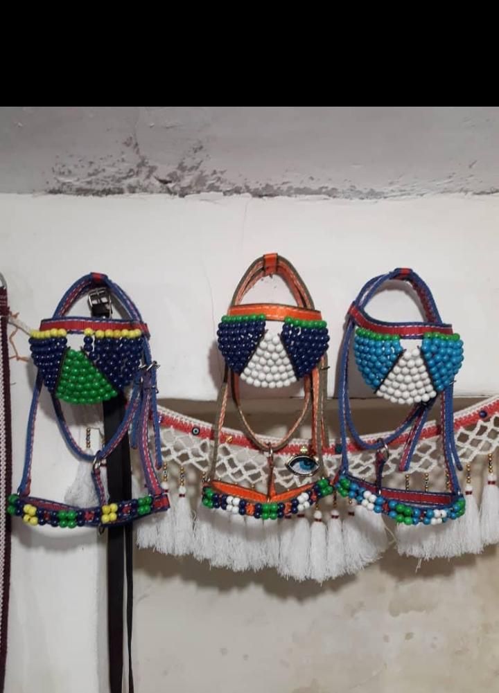 پالان، افسار و لوازم|اسب و تجهیزات اسب‌سواری|گرگان, |دیوار